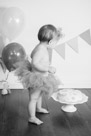 Adelynn's 1st Birthday Party and Cake Smash in Waukesha, WI