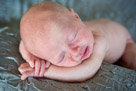 Milwaukee Area Newborn Lifestyle Photograhgy