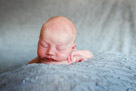 Milwaukee Area Newborn Lifestyle Photograhgy